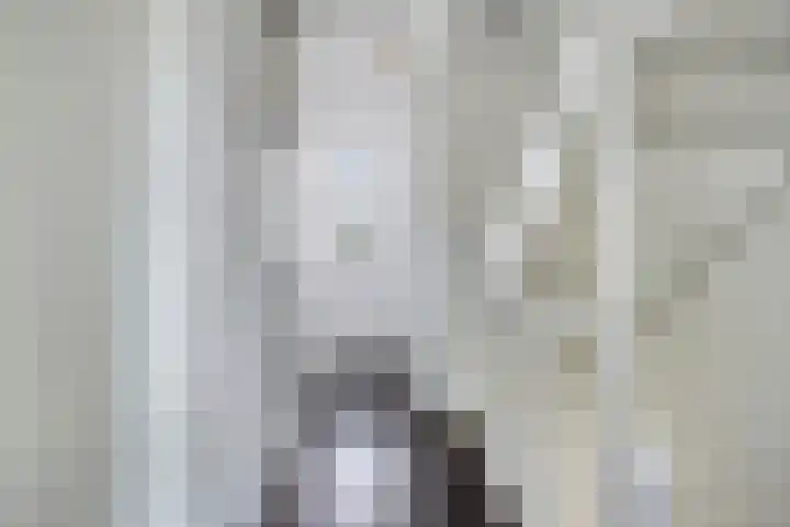 Haeverhorst 3 Epse thumbnail 14