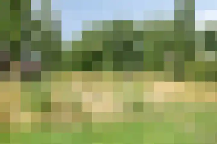 Haeverhorst 3 Epse thumbnail 30