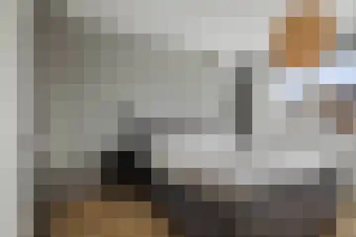 Haeverhorst 4 Epse thumbnail 13