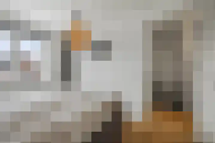 Haeverhorst 4 Epse thumbnail 14