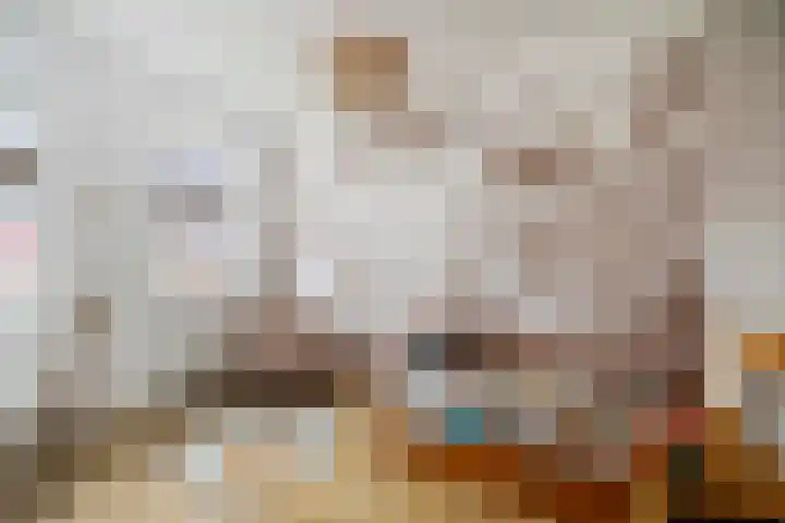 Haeverhorst 4 Epse thumbnail 15