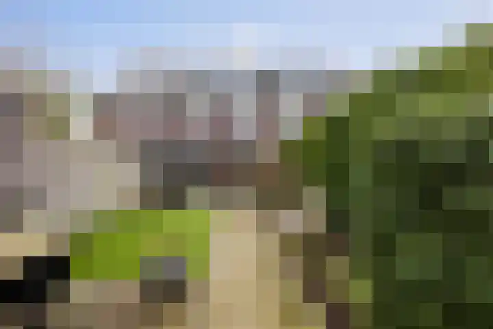 Haeverhorst 4 Epse thumbnail 23