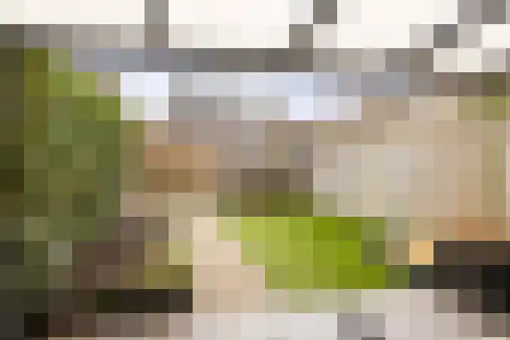 Haeverhorst 4 Epse thumbnail 24