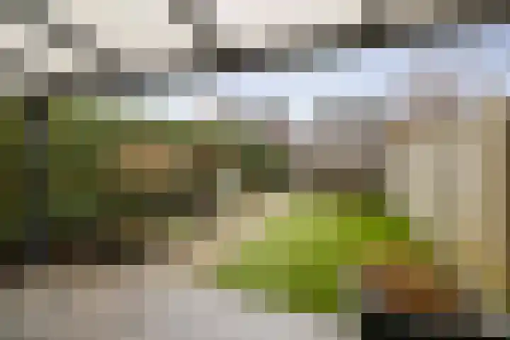Haeverhorst 4 Epse thumbnail 25