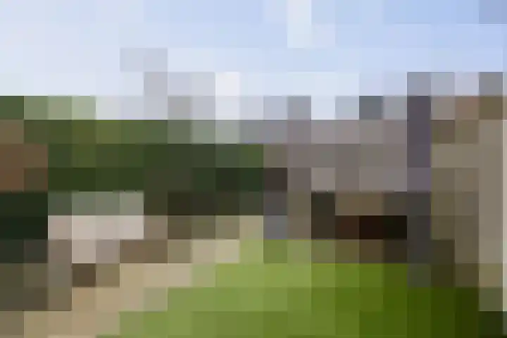 Haeverhorst 4 Epse thumbnail 27
