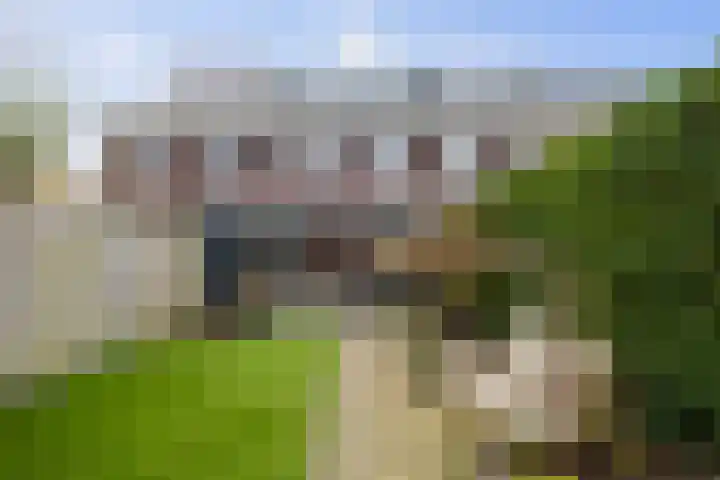 Haeverhorst 4 Epse thumbnail 28