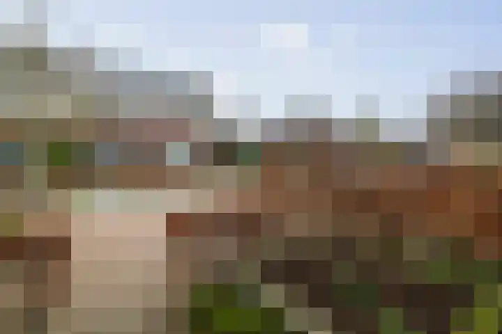 Haeverhorst 4 Epse thumbnail 29