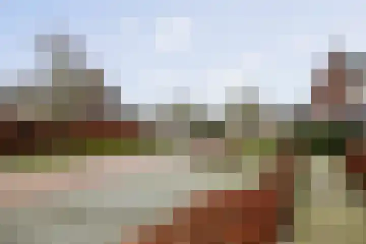 Haeverhorst 4 Epse thumbnail 31
