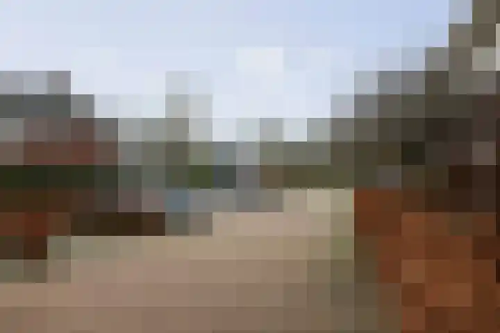 Haeverhorst 4 Epse thumbnail 32