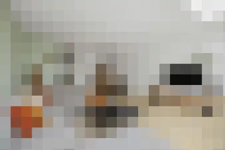Haeverhorst 4 Epse thumbnail 6