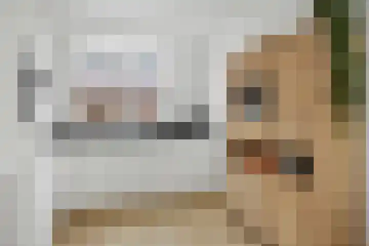 Haeverhorst 4 Epse thumbnail 9