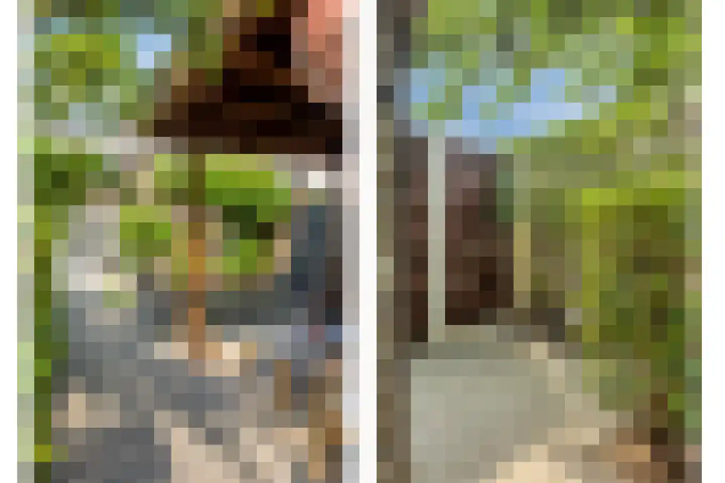 Haeverhorst 6 Epse thumbnail 14