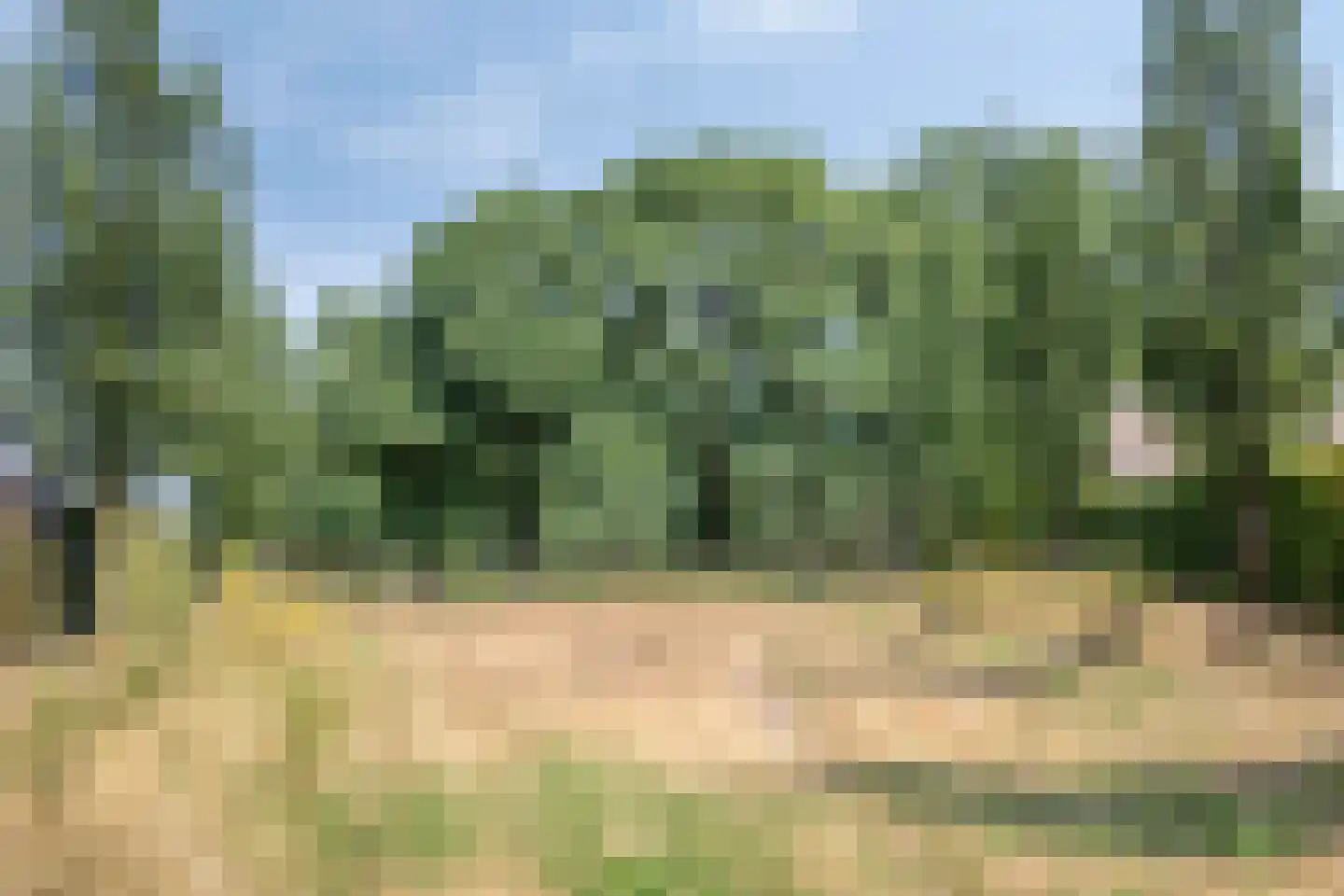 Haeverhorst 6 Epse thumbnail 43