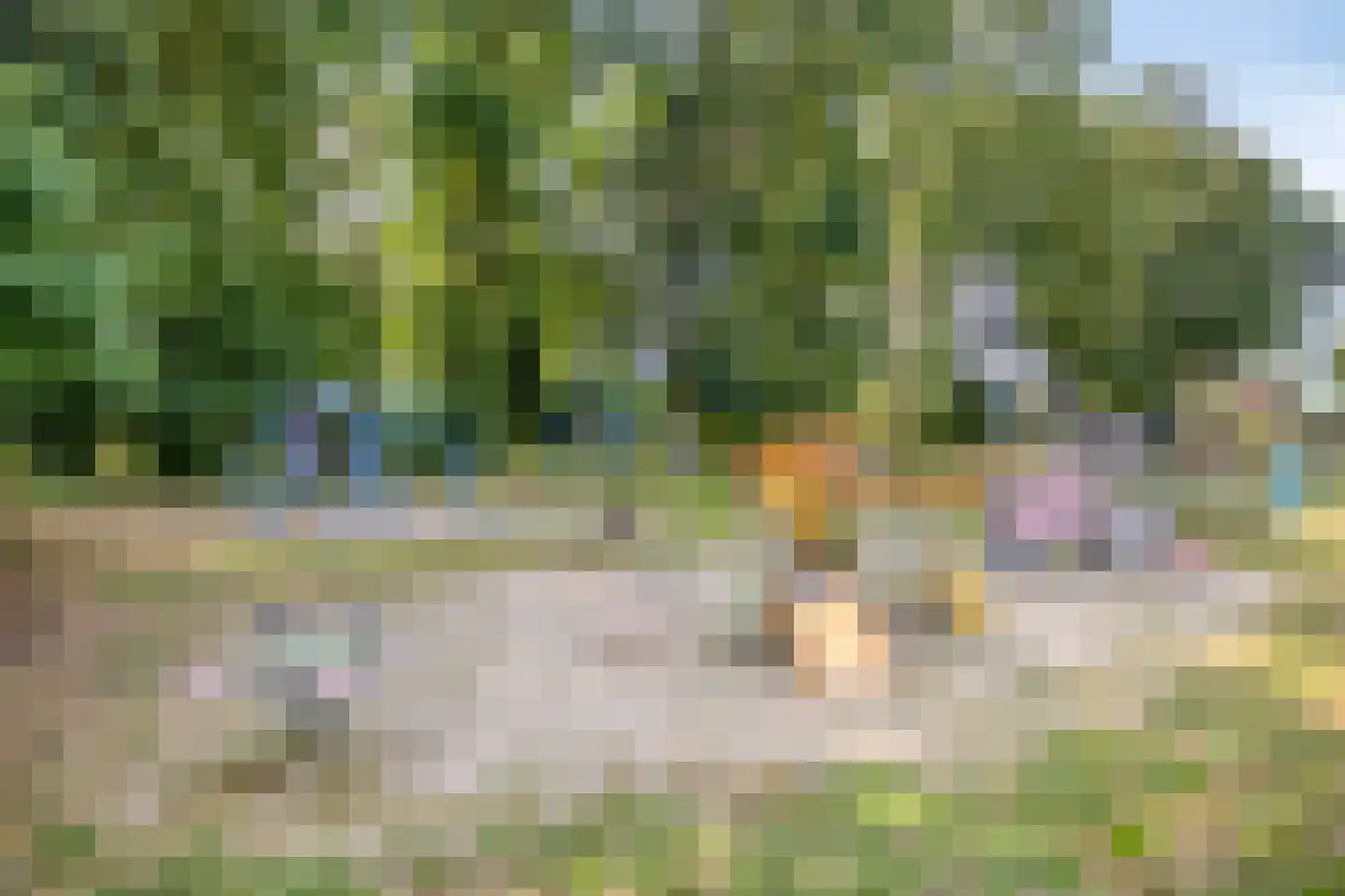 Haeverhorst 6 Epse thumbnail 44