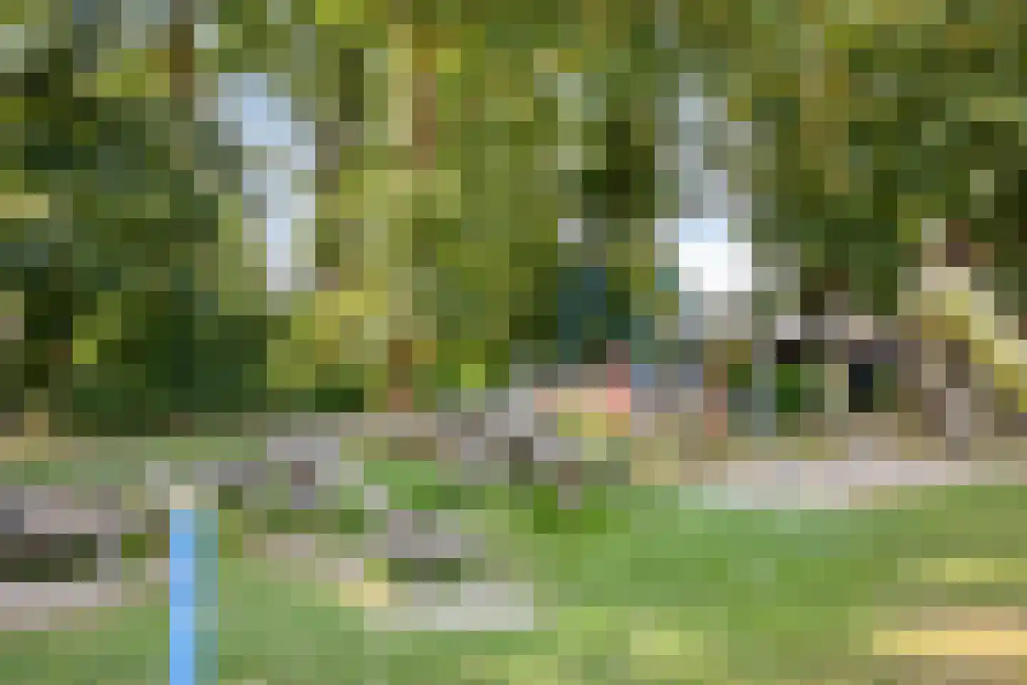 Haeverhorst 6 Epse thumbnail 45