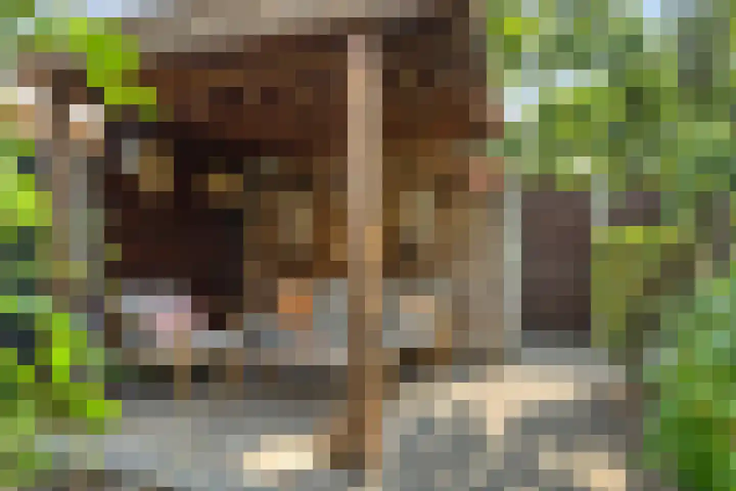 Haeverhorst 6 Epse thumbnail 9