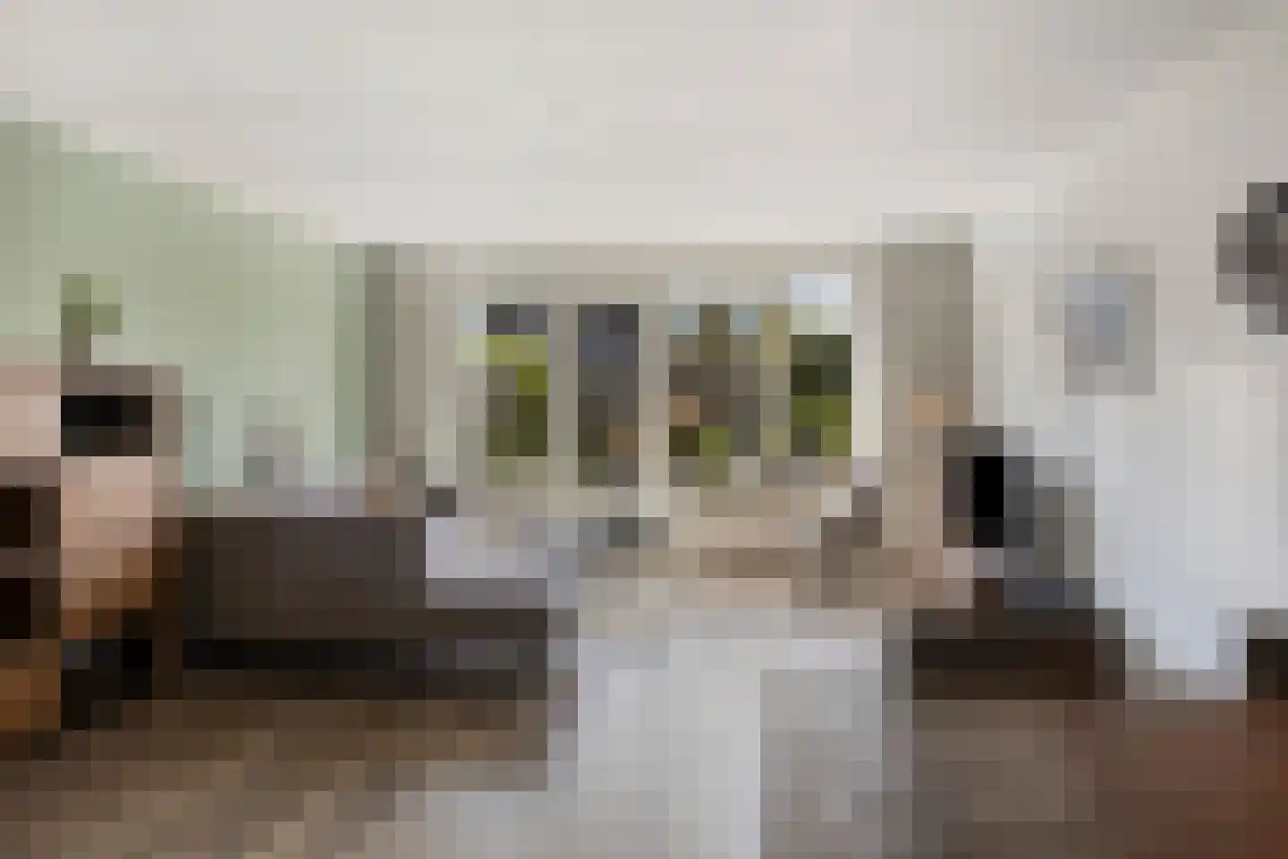 Haeverhorst 7 Epse thumbnail 4