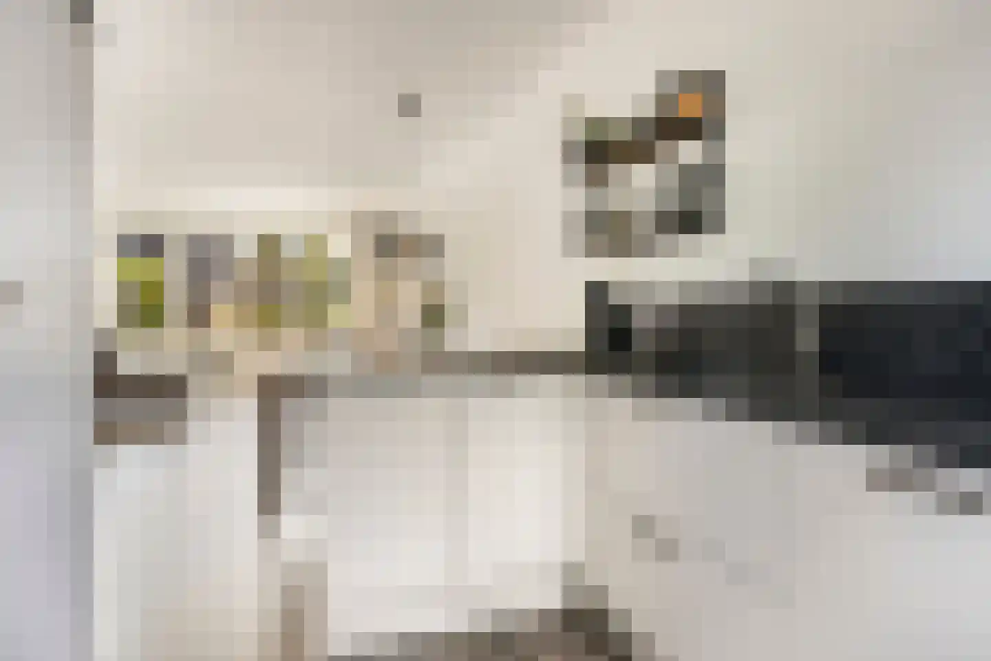 Haeverhorst 7 Epse thumbnail 8