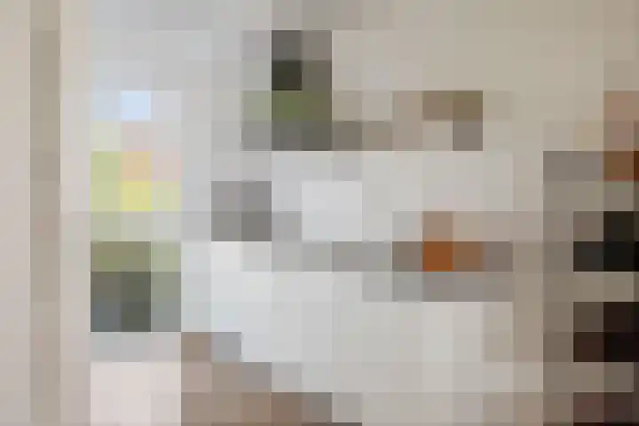 Haeverhorst 8 Epse thumbnail 11