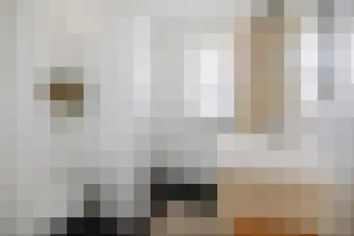 Haeverhorst 8 Epse thumbnail 26