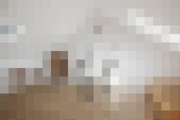 Haeverhorst 8 Epse thumbnail 29
