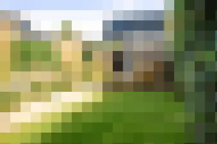 Haeverhorst 8 Epse thumbnail 33