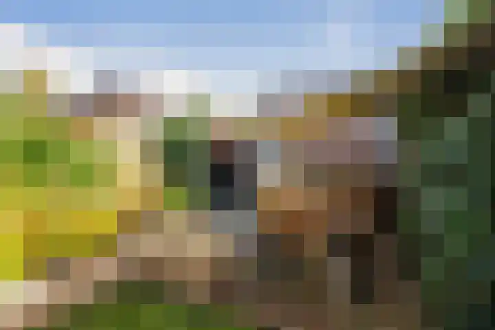 Haeverhorst 8 Epse thumbnail 35