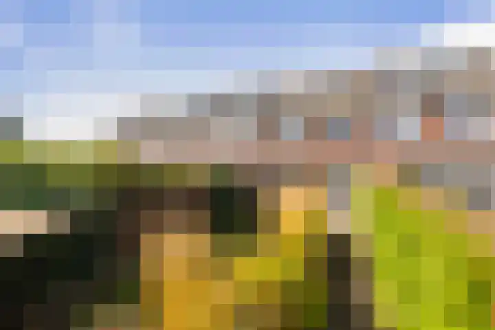 Haeverhorst 8 Epse thumbnail 36