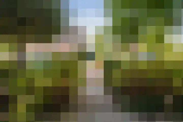 Haeverhorst 8 Epse thumbnail 39