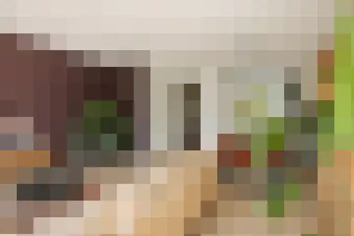 Haeverhorst 8 Epse thumbnail 7
