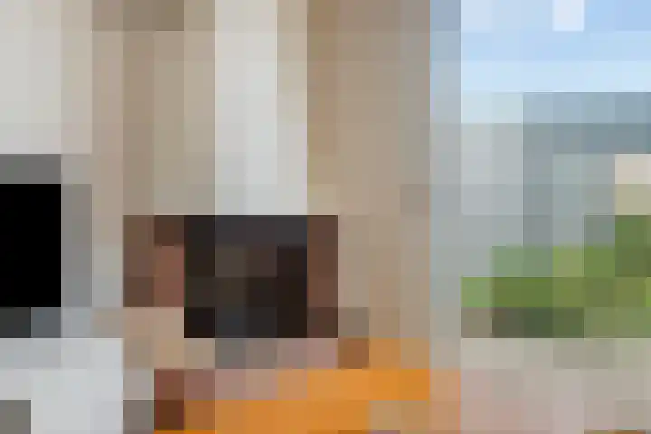 Haf 2 Lelystad thumbnail 12