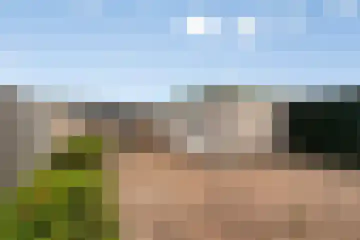 Haf 2 Lelystad thumbnail 28