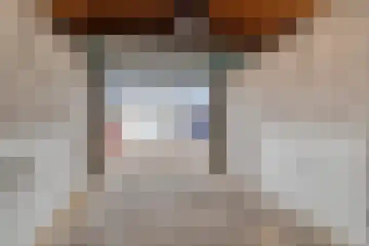 Haf 2 Lelystad thumbnail 31