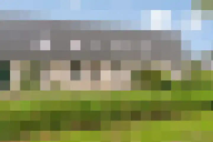 Haf 2 Lelystad thumbnail 4