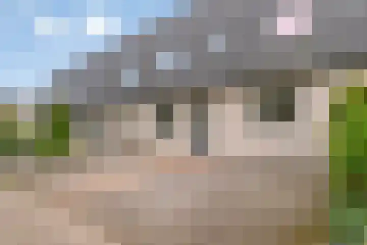 Haf 2 Lelystad thumbnail 5