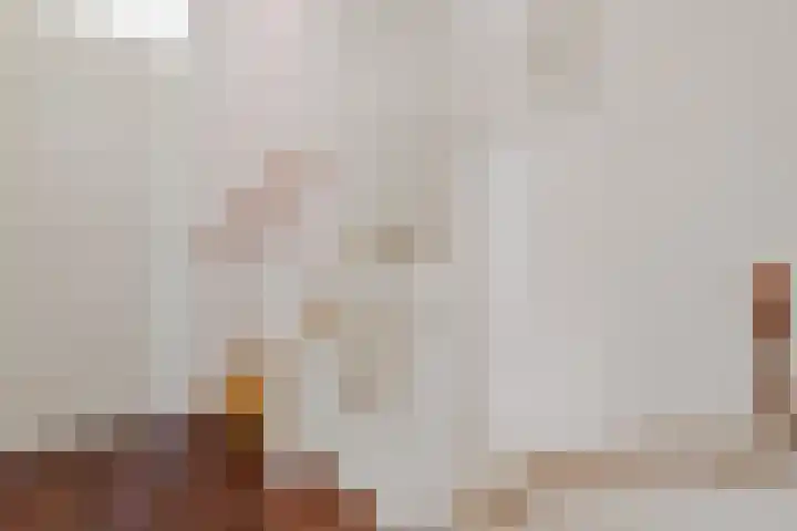 Hafkenscheidtlaan 1 B De Zilk thumbnail 10