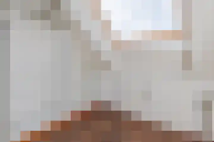Hafkenscheidtlaan 1 B De Zilk thumbnail 13