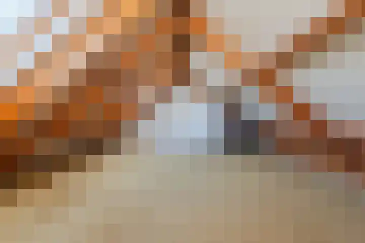 Hafkenscheidtlaan 1 B De Zilk thumbnail 18
