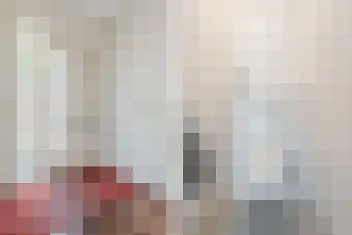 Hafkenscheidtlaan 1 B De Zilk thumbnail 20