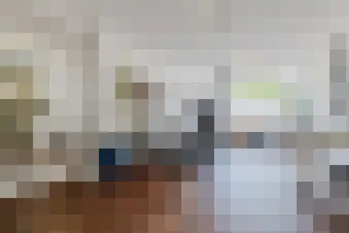 Hafkenscheidtlaan 1 B De Zilk thumbnail 22