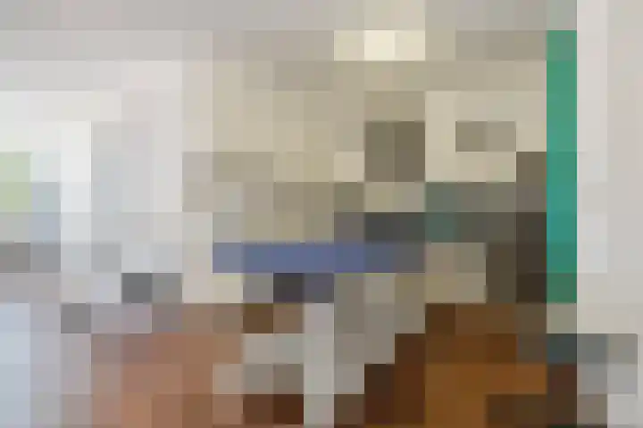 Hafkenscheidtlaan 1 B De Zilk thumbnail 23
