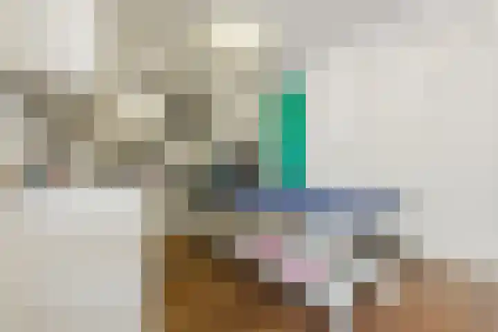 Hafkenscheidtlaan 1 B De Zilk thumbnail 24