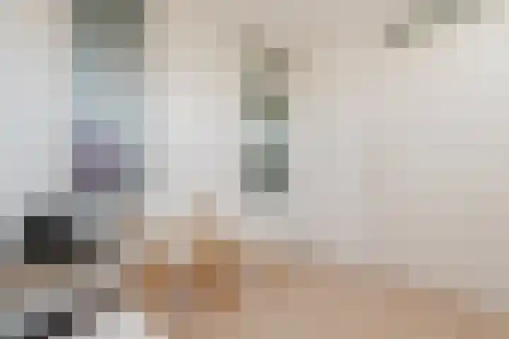 Hafkenscheidtlaan 1 B De Zilk thumbnail 26