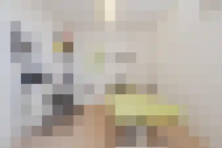 Hafkenscheidtlaan 1 B De Zilk thumbnail 27
