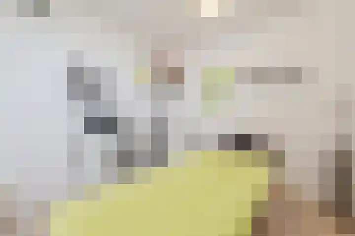 Hafkenscheidtlaan 1 B De Zilk thumbnail 28