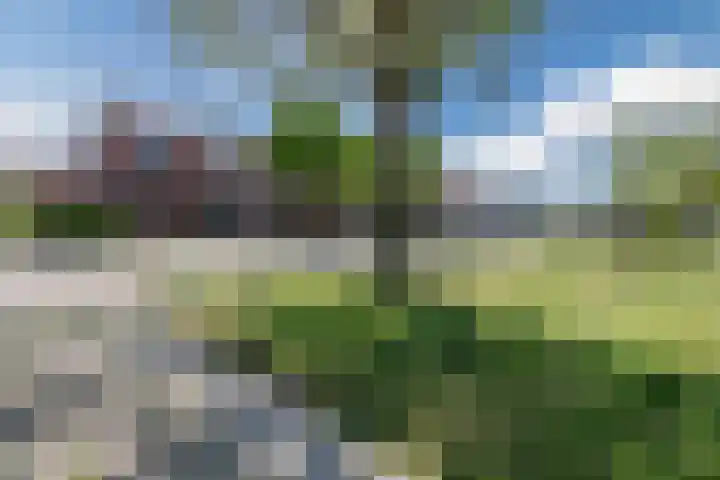 Hafkenscheidtlaan 1 B De Zilk thumbnail 29