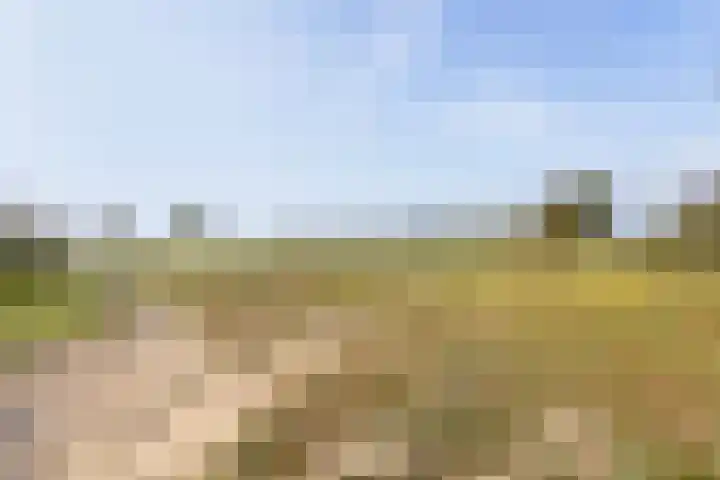 Hafkenscheidtlaan 1 B De Zilk thumbnail 31