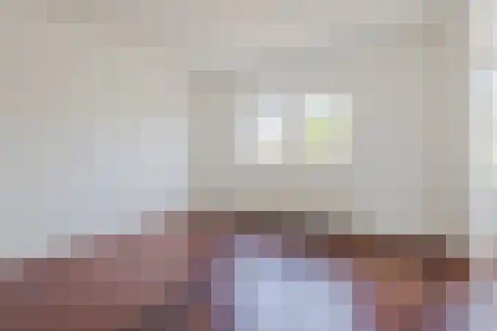 Hafkenscheidtlaan 1 B De Zilk thumbnail 6