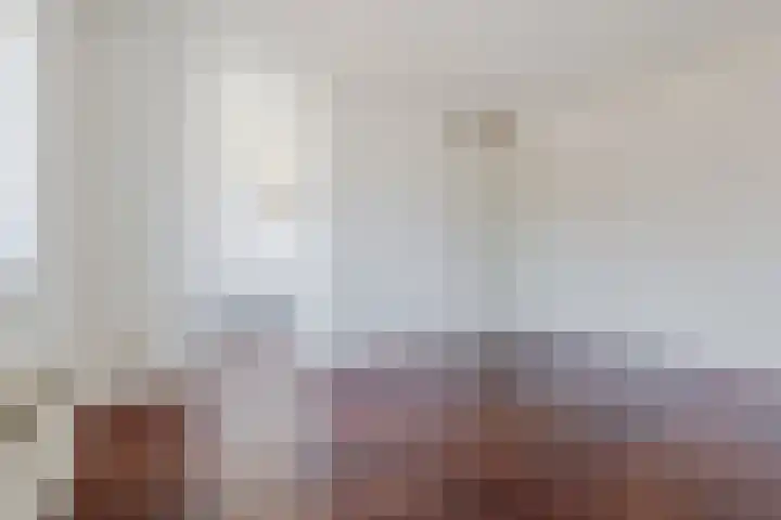 Hafkenscheidtlaan 1 B De Zilk thumbnail 7