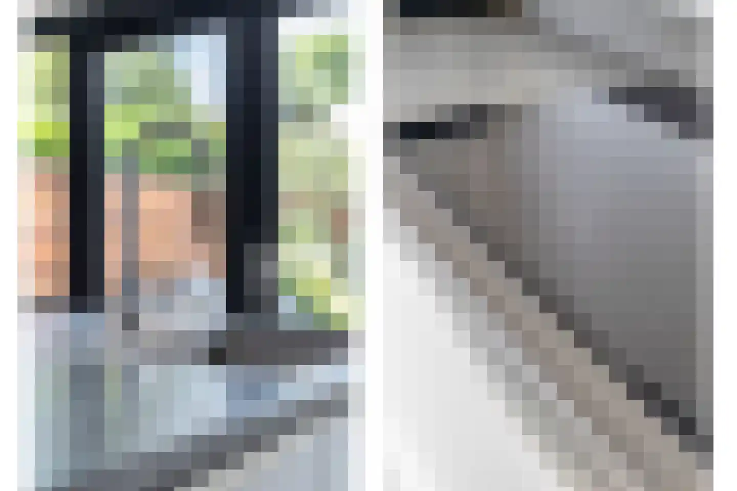 Hafkenscheidtlaan 36 De Zilk thumbnail 17